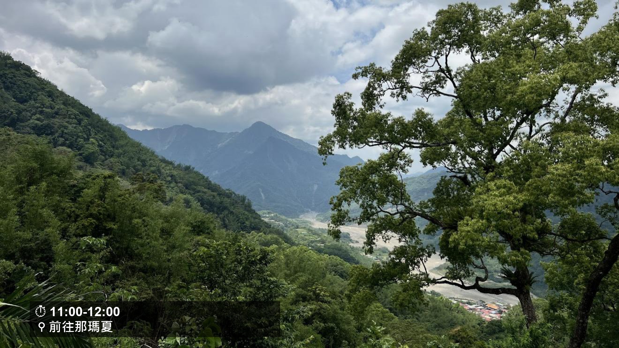 無螫蜂生態導覽